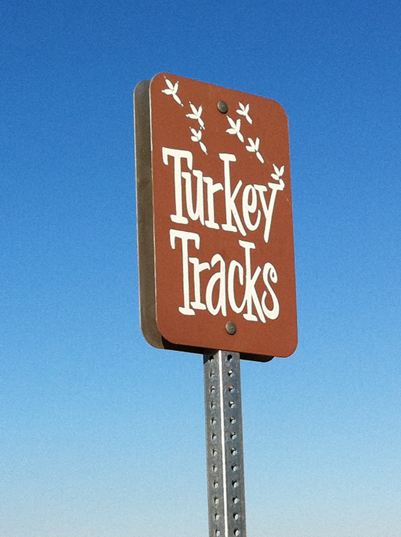 Illustration for article titled Route 66 turkey tracks